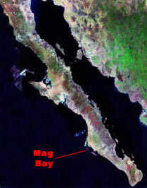 mag-bay.jpg